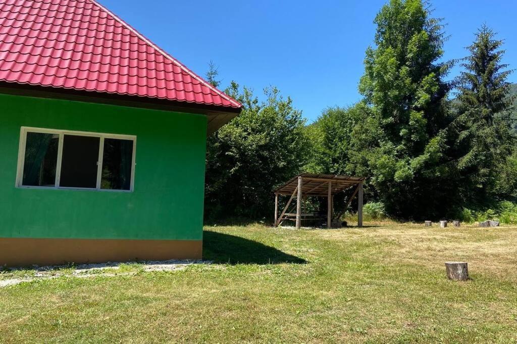 The Green House - Apuseni Mountains Pietroasa  Екстериор снимка